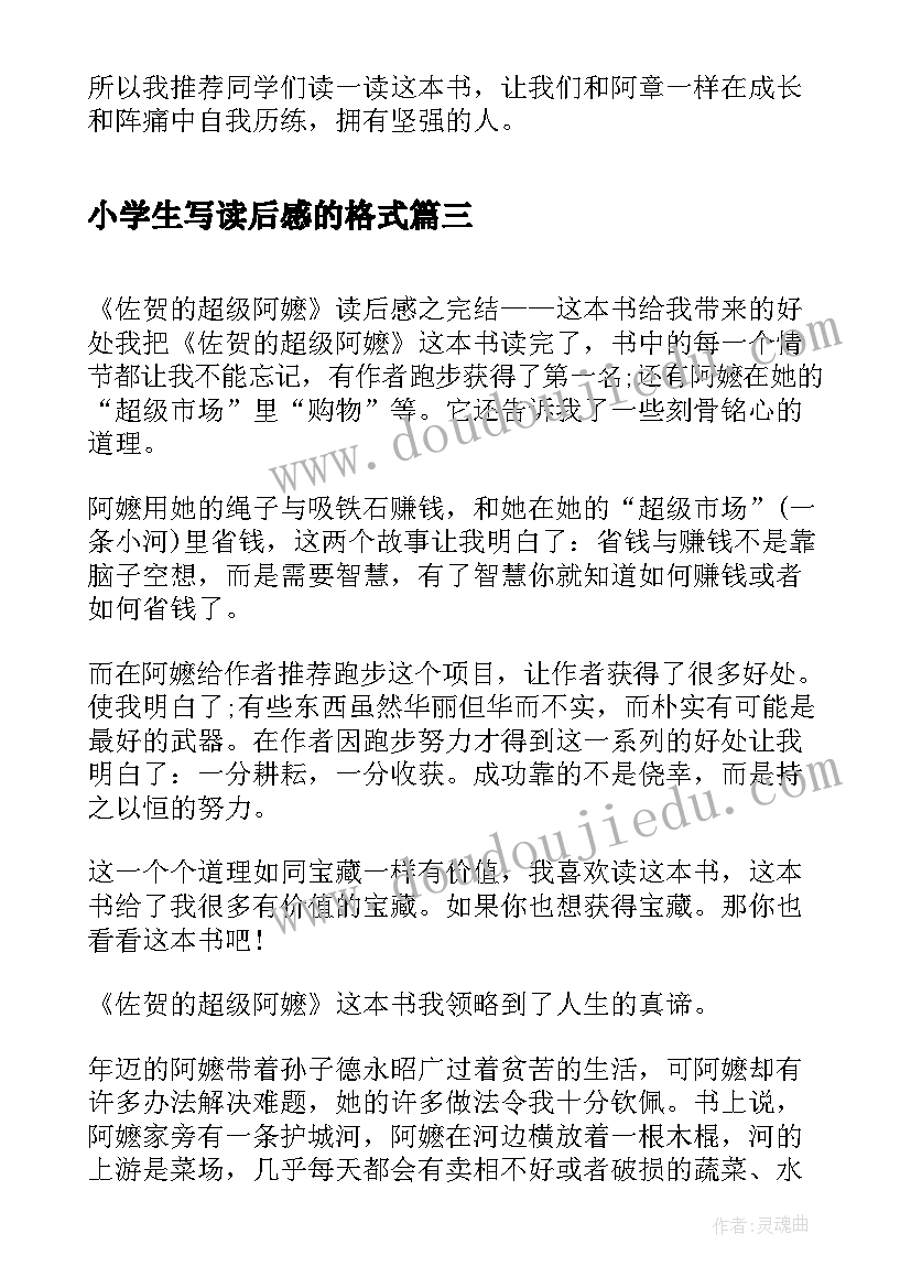 最新小学生写读后感的格式(汇总5篇)