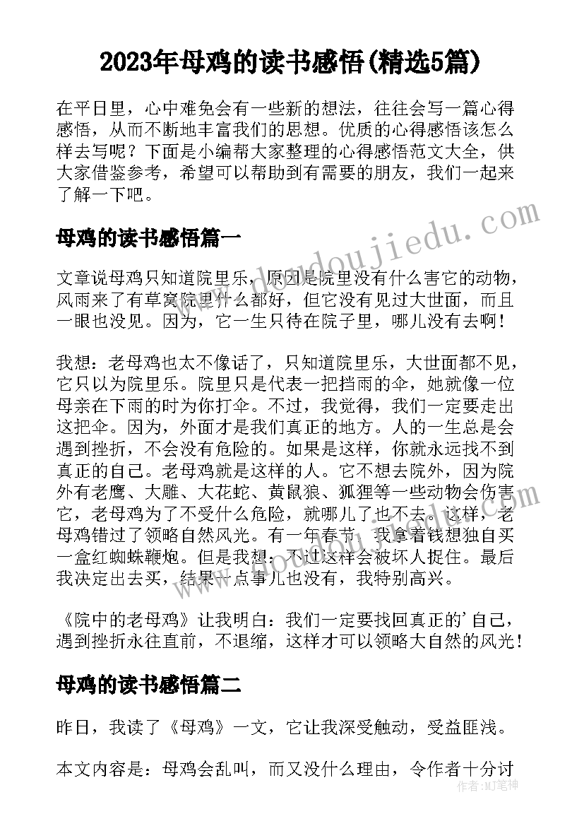 2023年母鸡的读书感悟(精选5篇)