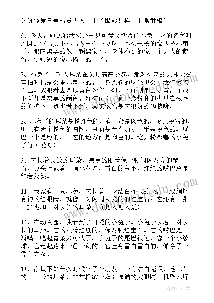 2023年没有耳朵的兔子读后感(通用5篇)