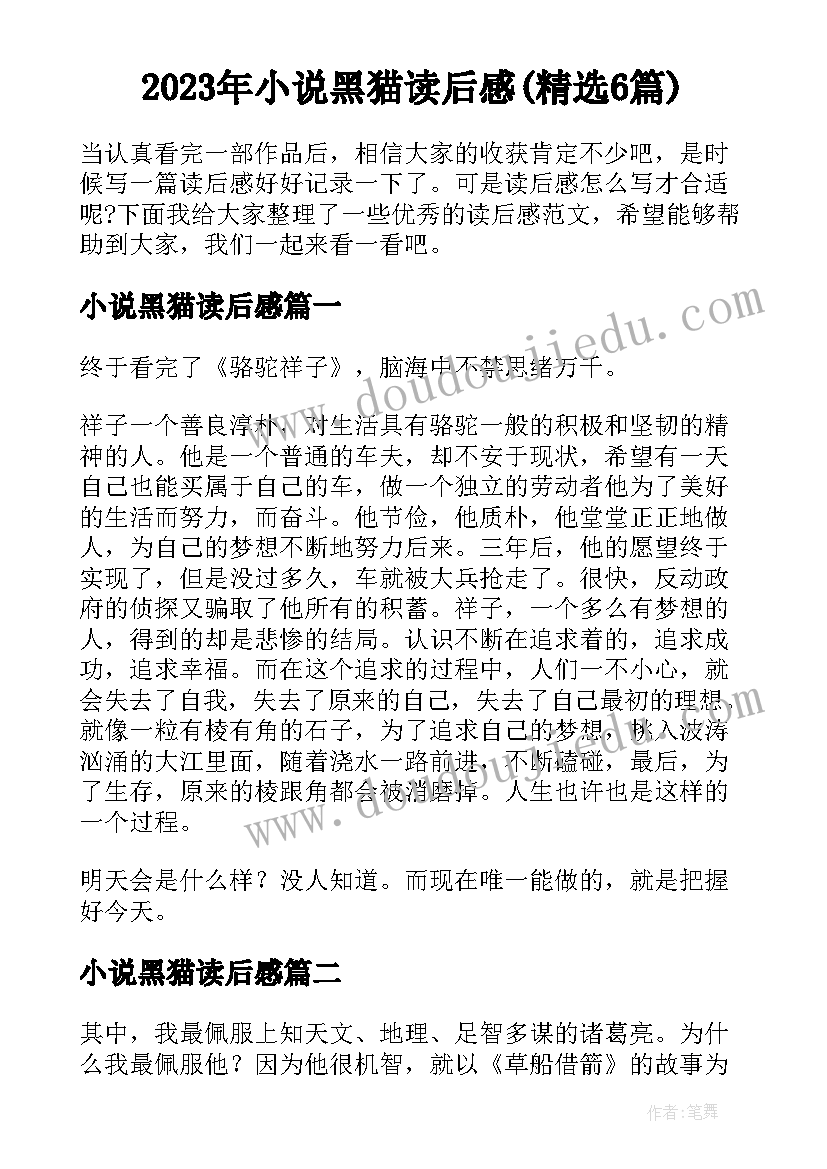 2023年小说黑猫读后感(精选6篇)