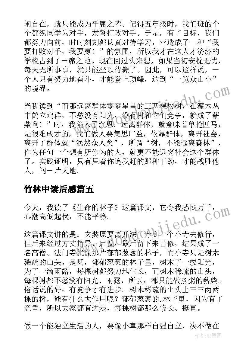 最新竹林中读后感 生命的林子读后感(通用5篇)