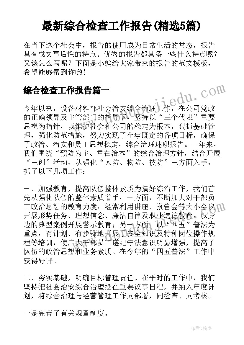 最新综合检查工作报告(精选5篇)