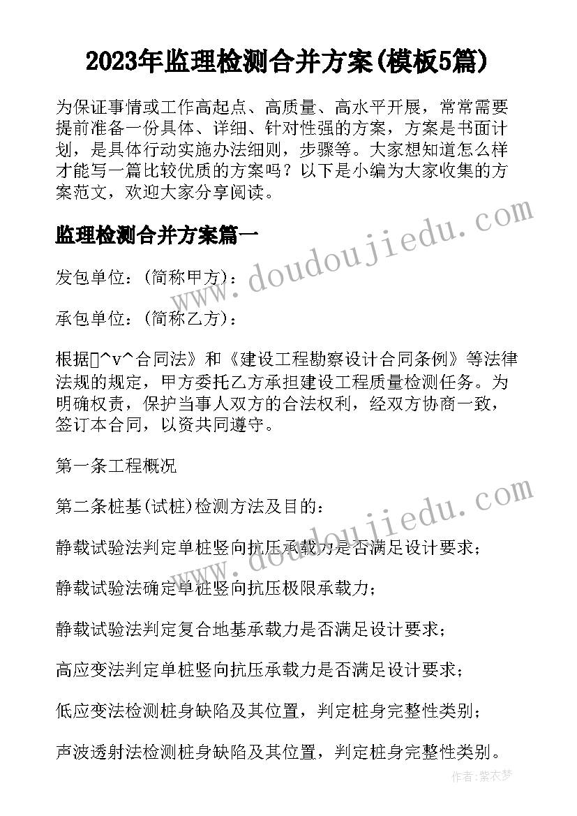 2023年监理检测合并方案(模板5篇)