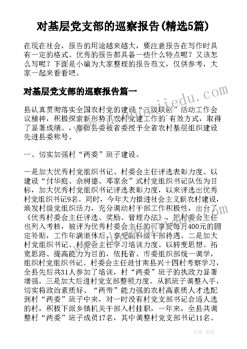 对基层党支部的巡察报告(精选5篇)