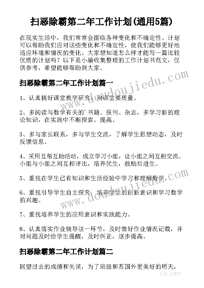 扫恶除霸第二年工作计划(通用5篇)