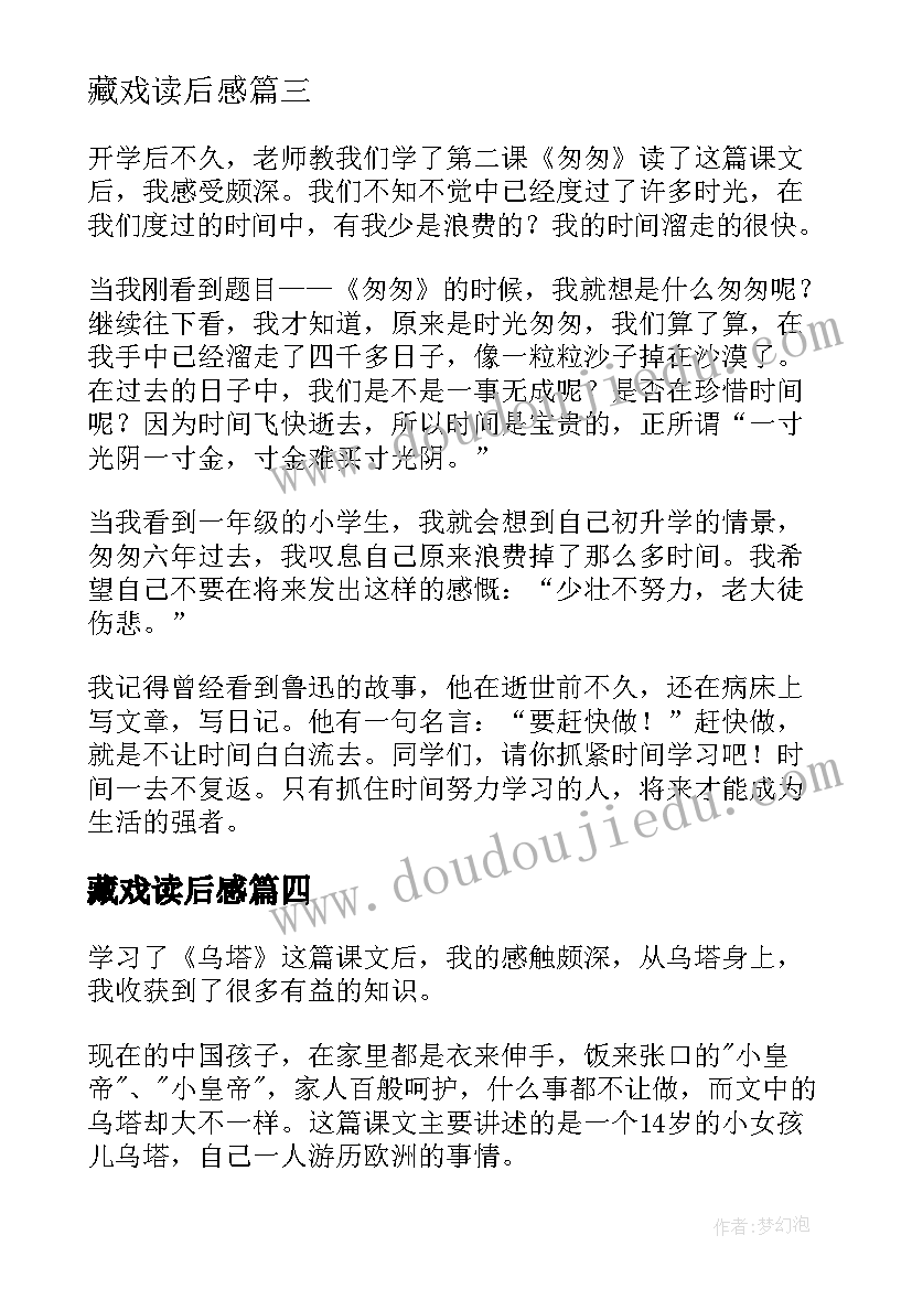 2023年藏戏读后感(大全5篇)