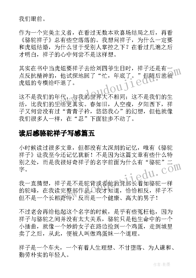 2023年读后感骆驼祥子写感(汇总7篇)