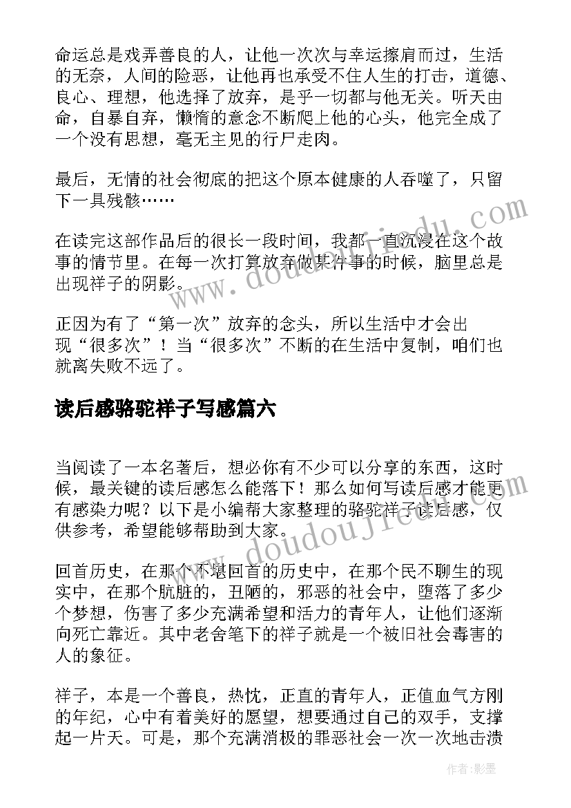 2023年读后感骆驼祥子写感(汇总7篇)