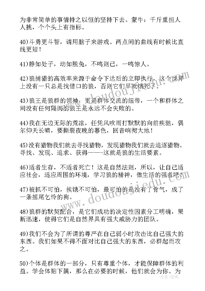 2023年狼性法则读后感(大全5篇)