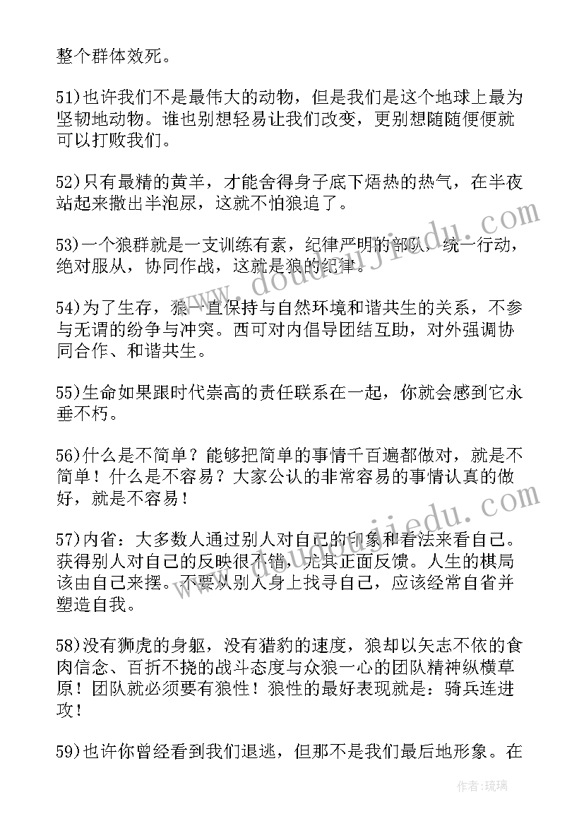 2023年狼性法则读后感(大全5篇)