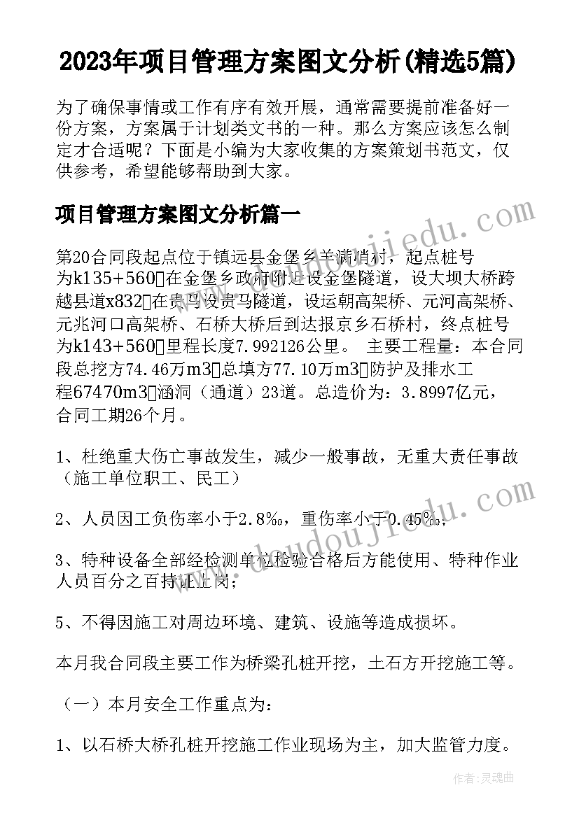 2023年项目管理方案图文分析(精选5篇)