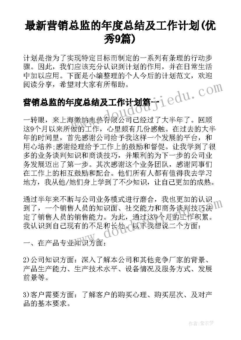 最新营销总监的年度总结及工作计划(优秀9篇)