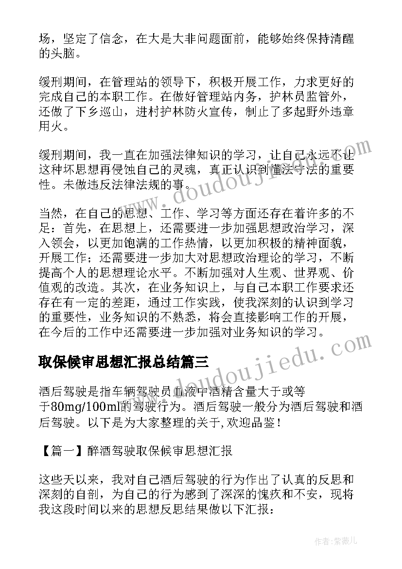 2023年取保候审思想汇报总结(大全5篇)