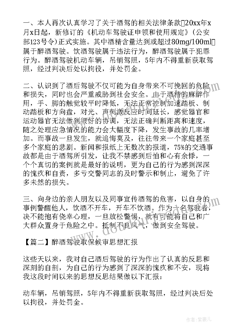 2023年取保候审思想汇报总结(大全5篇)