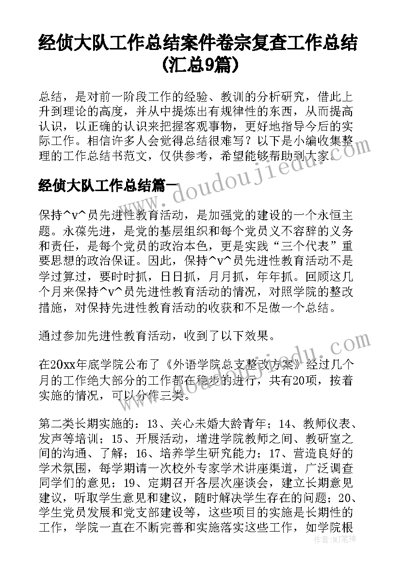 经侦大队工作总结 案件卷宗复查工作总结(汇总9篇)