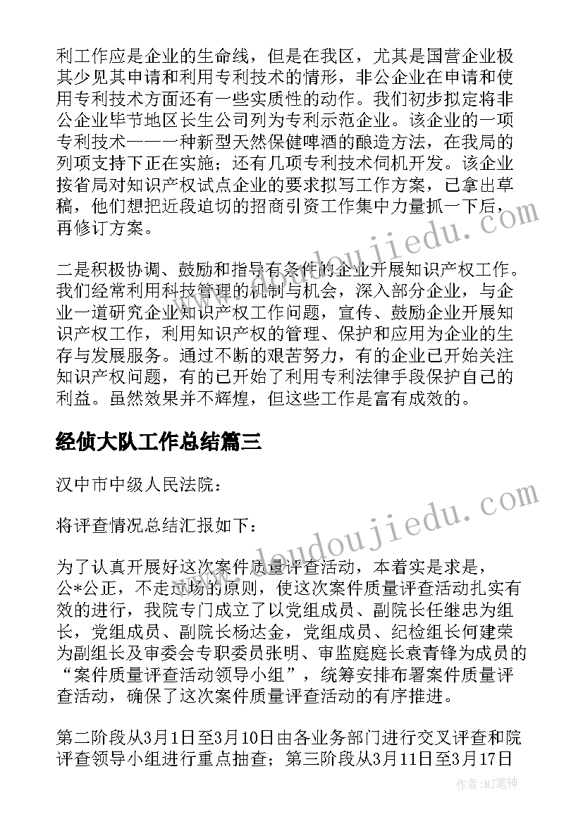 经侦大队工作总结 案件卷宗复查工作总结(汇总9篇)