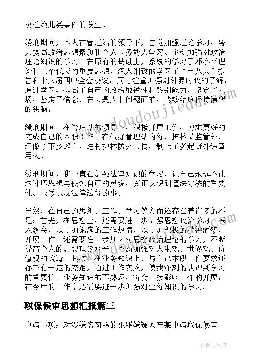 2023年取保候审思想汇报(优质5篇)