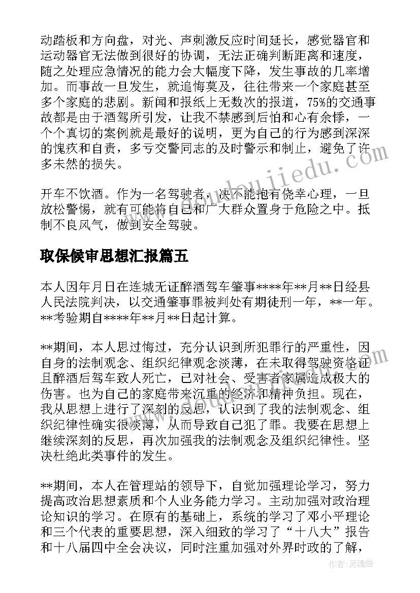 2023年取保候审思想汇报(优质5篇)