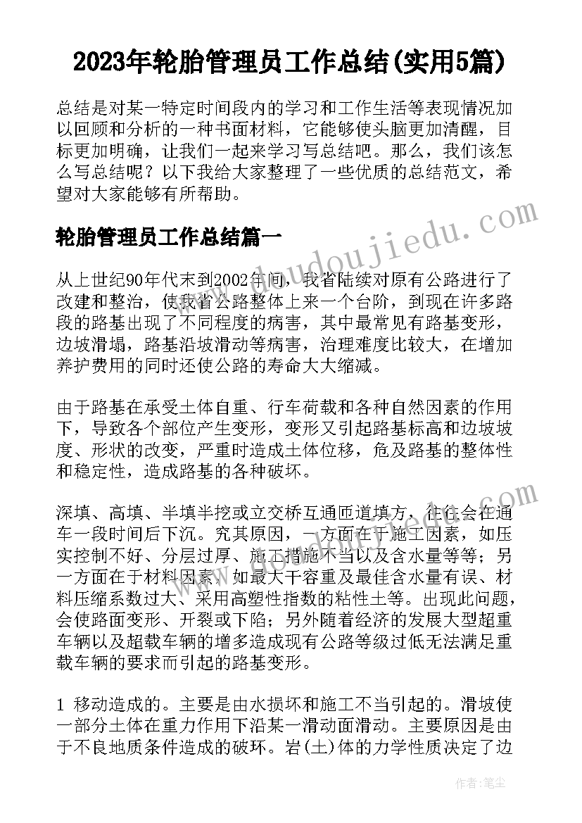 2023年轮胎管理员工作总结(实用5篇)