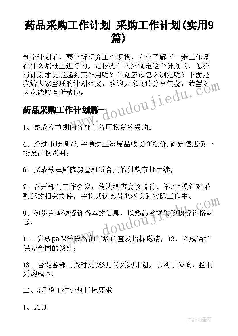 药品采购工作计划 采购工作计划(实用9篇)