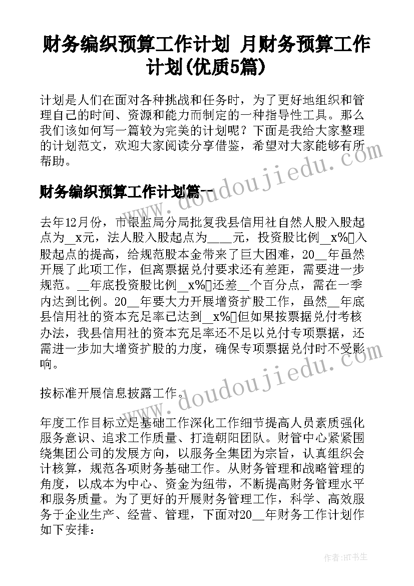 财务编织预算工作计划 月财务预算工作计划(优质5篇)