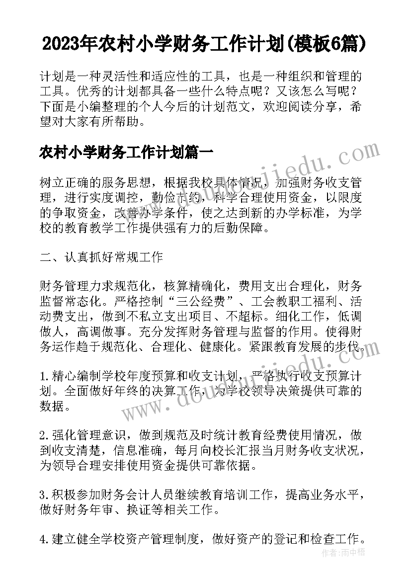 2023年农村小学财务工作计划(模板6篇)