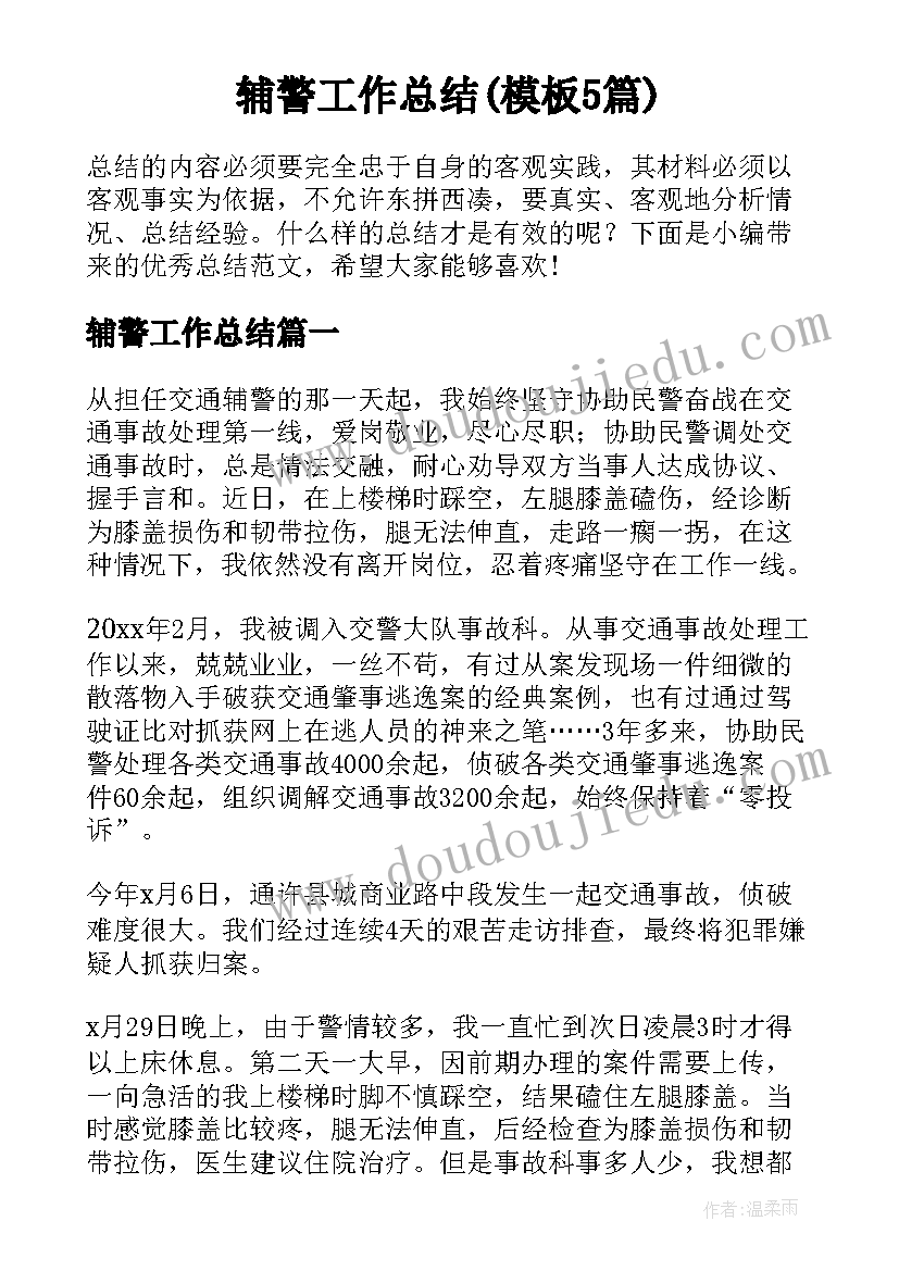 辅警工作总结(模板5篇)