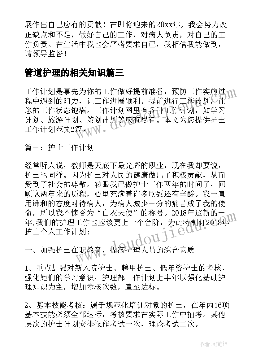 2023年管道护理的相关知识 护士工作计划(优质8篇)