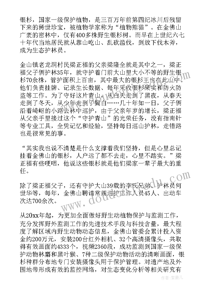 绿水青山的演讲稿(通用10篇)