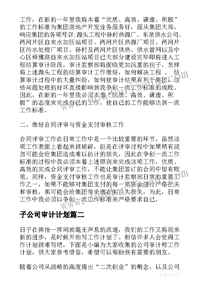 2023年子公司审计计划 公司审计工作计划(优质5篇)