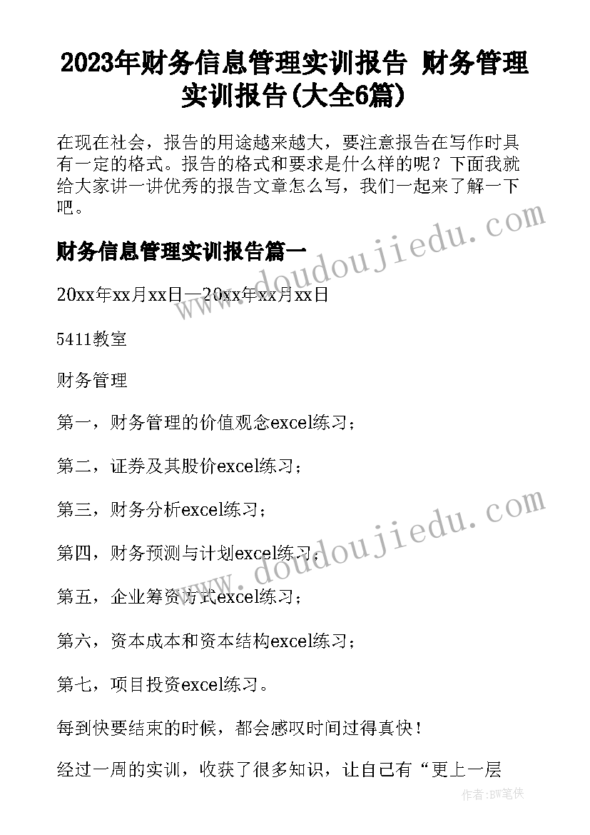 2023年财务信息管理实训报告 财务管理实训报告(大全6篇)