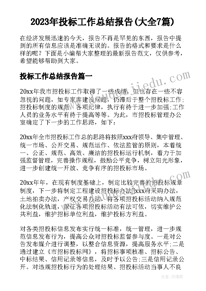 2023年投标工作总结报告(大全7篇)