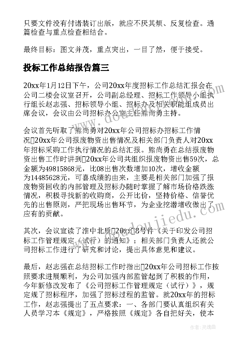 2023年投标工作总结报告(大全7篇)