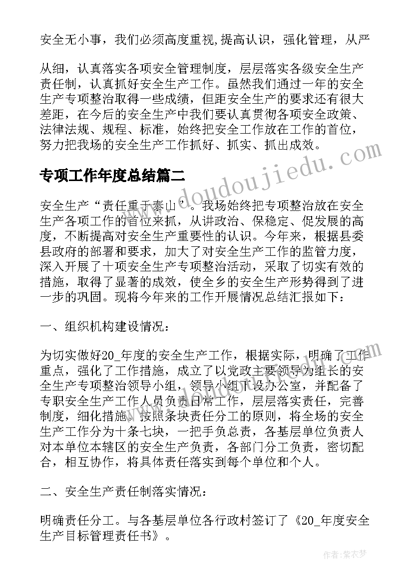 最新专项工作年度总结(优秀7篇)