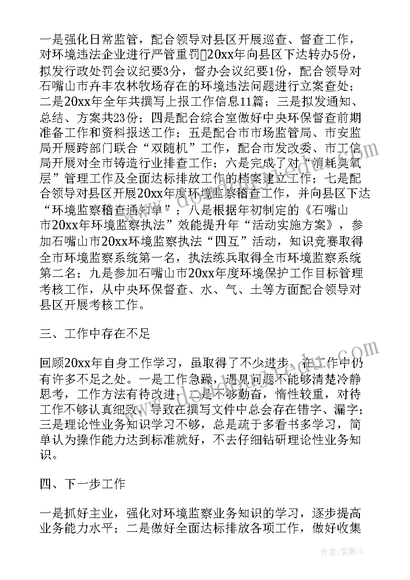 2023年环境监察大队长工作总结(模板9篇)