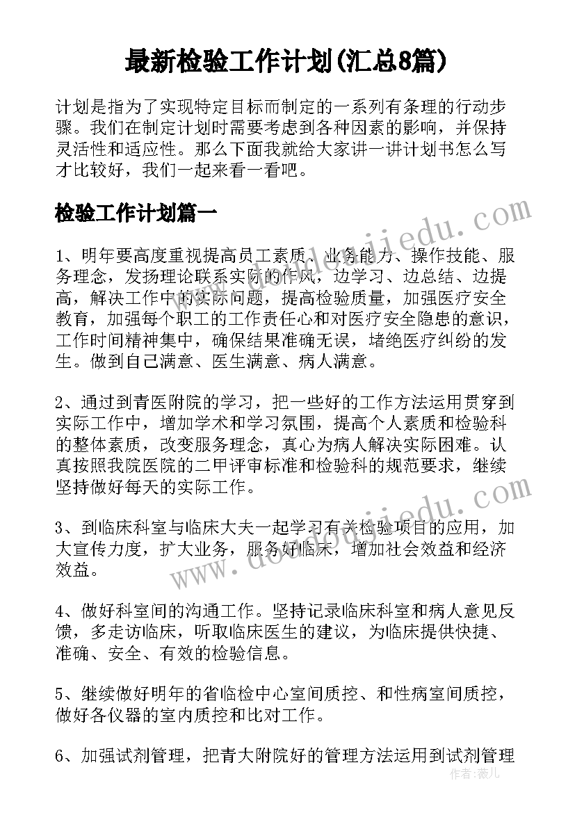 最新检验工作计划(汇总8篇)