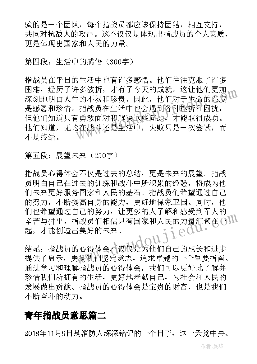 2023年青年指战员意思 指战员心得体会(模板5篇)