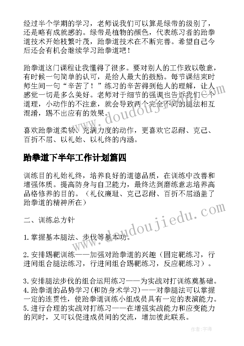 2023年跆拳道下半年工作计划(大全5篇)