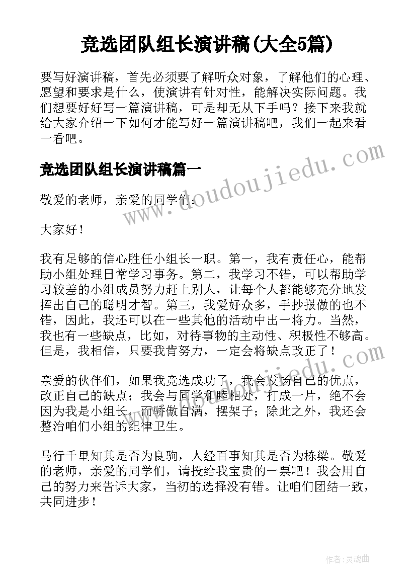 竞选团队组长演讲稿(大全5篇)