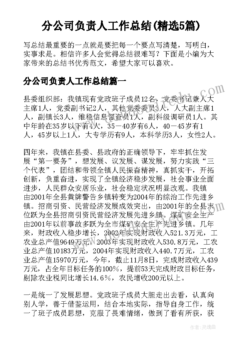 分公司负责人工作总结(精选5篇)