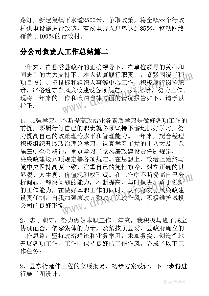 分公司负责人工作总结(精选5篇)