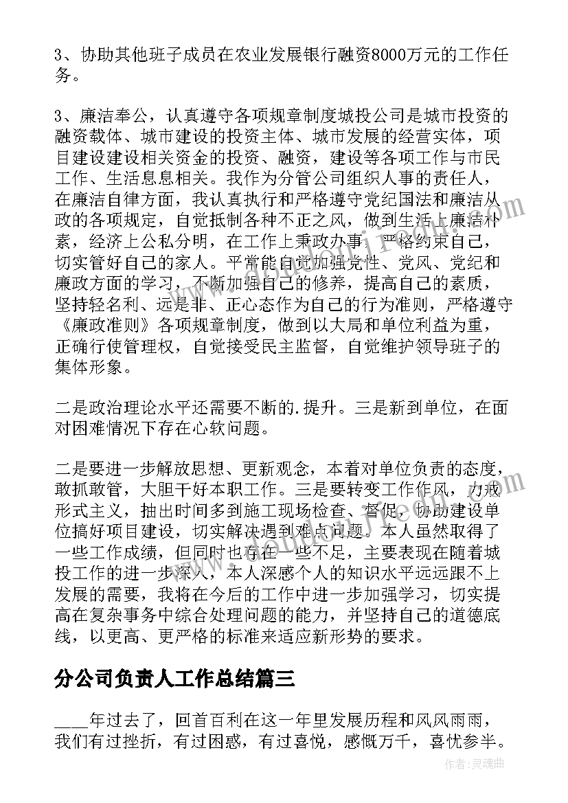 分公司负责人工作总结(精选5篇)