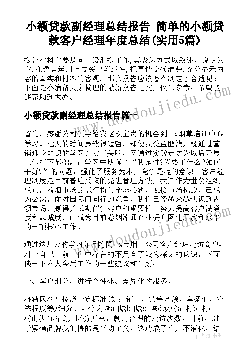 小额贷款副经理总结报告 简单的小额贷款客户经理年度总结(实用5篇)