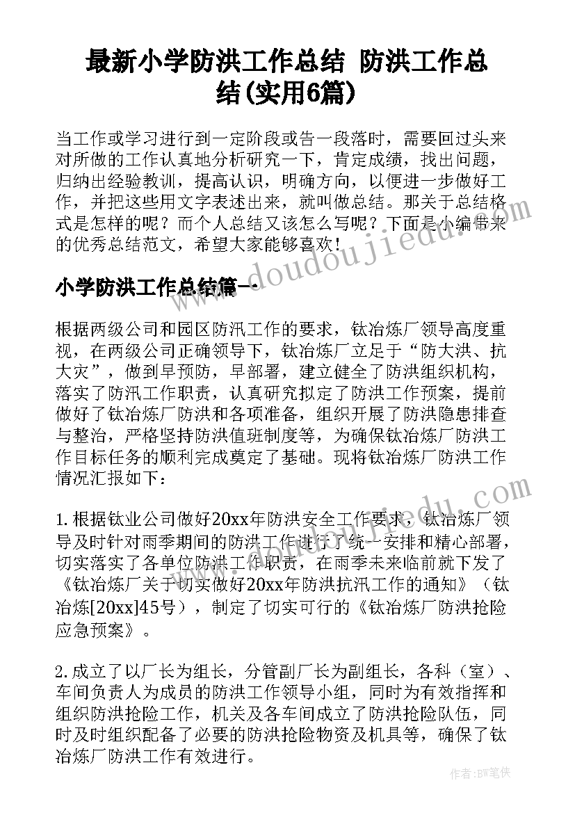 最新小学防洪工作总结 防洪工作总结(实用6篇)