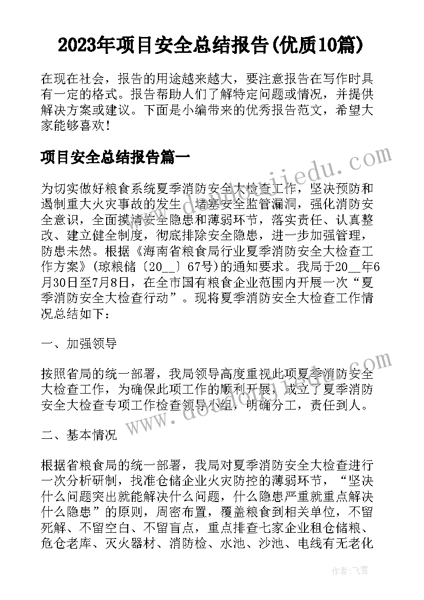 2023年项目安全总结报告(优质10篇)