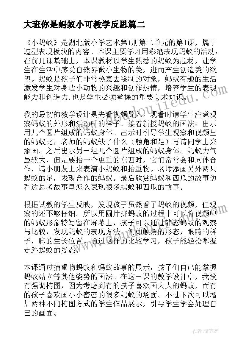 大班你是蚂蚁小可教学反思(大全9篇)