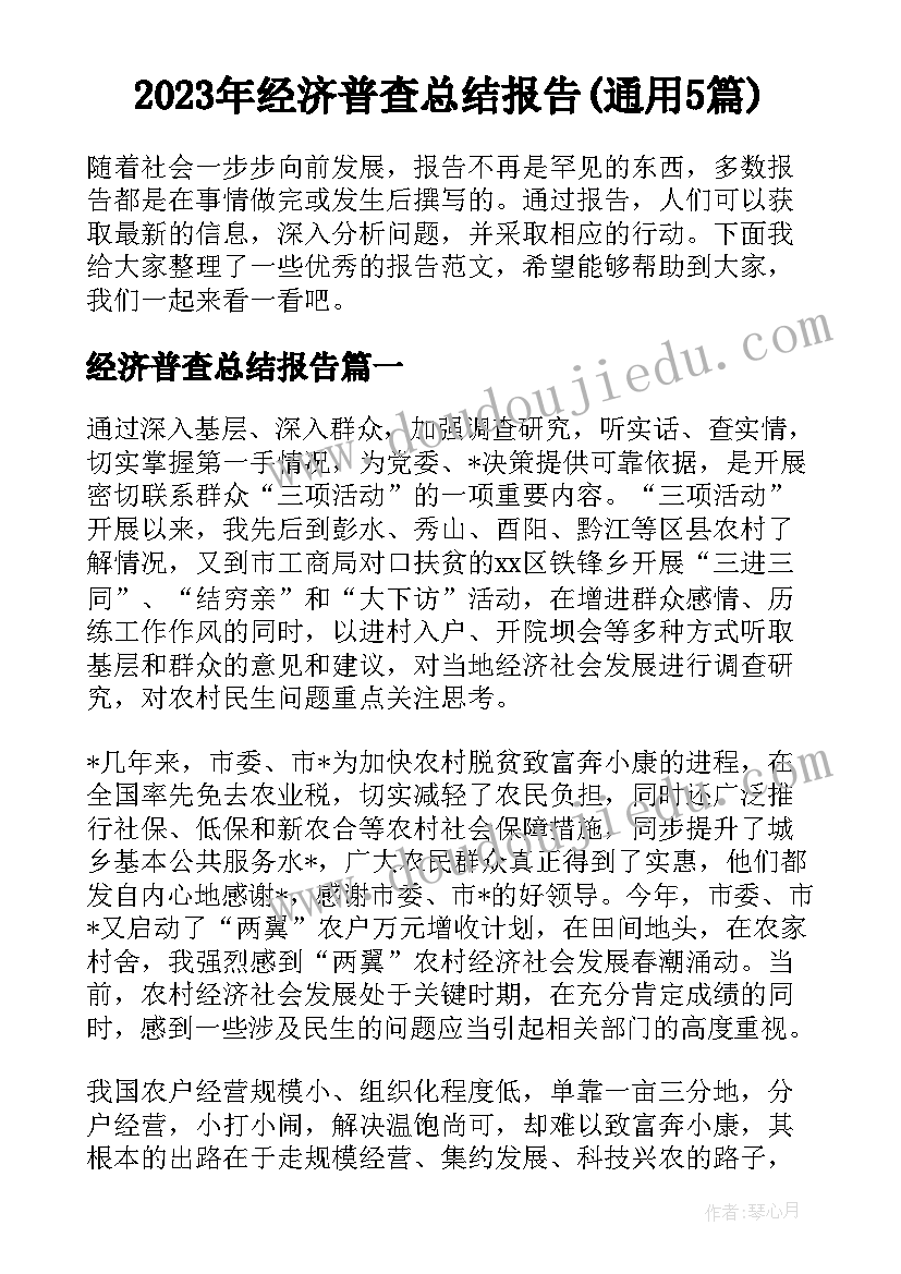 2023年经济普查总结报告(通用5篇)