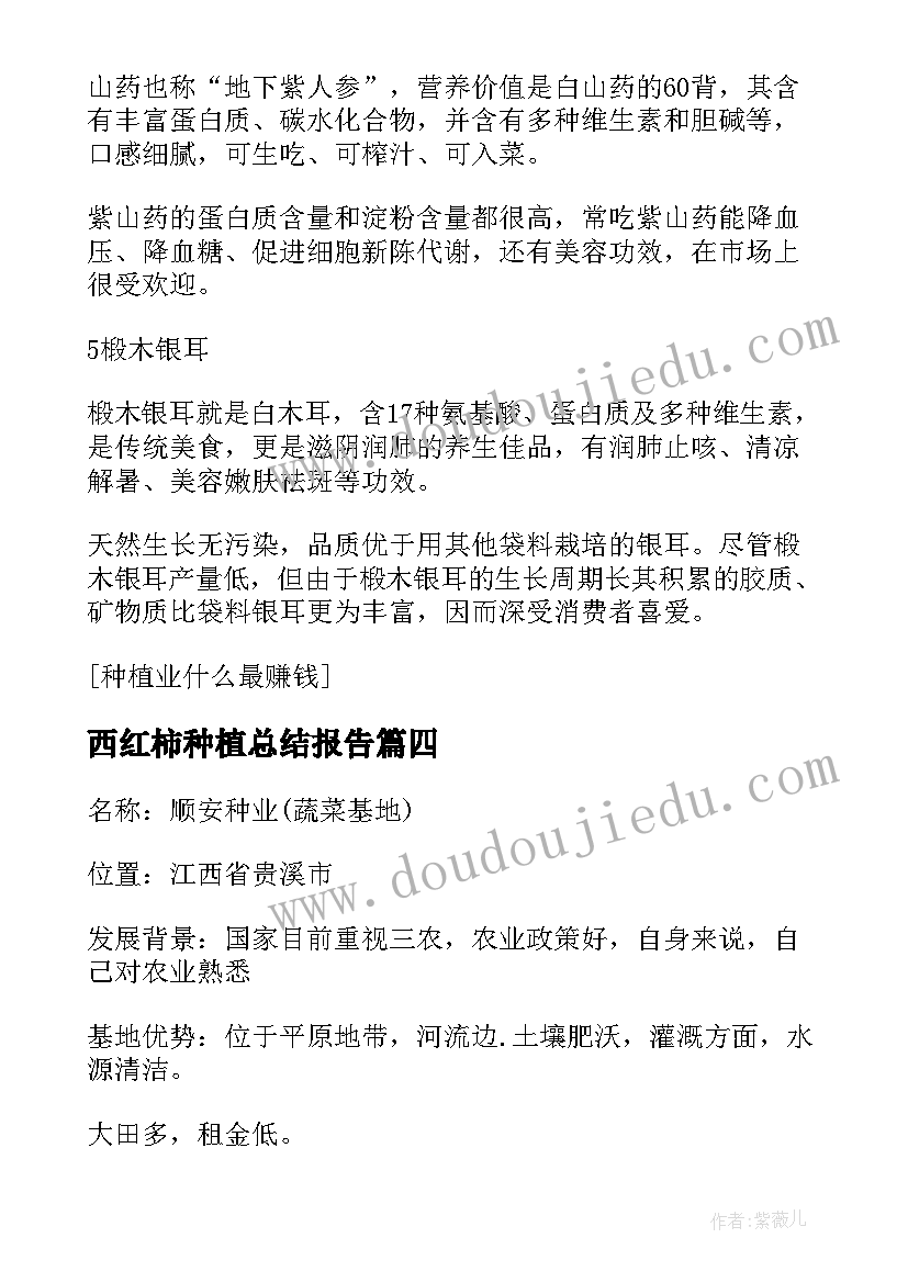 西红柿种植总结报告(模板10篇)