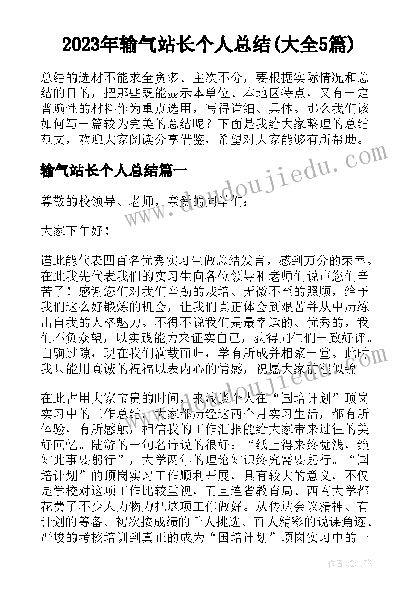 2023年输气站长个人总结(大全5篇)