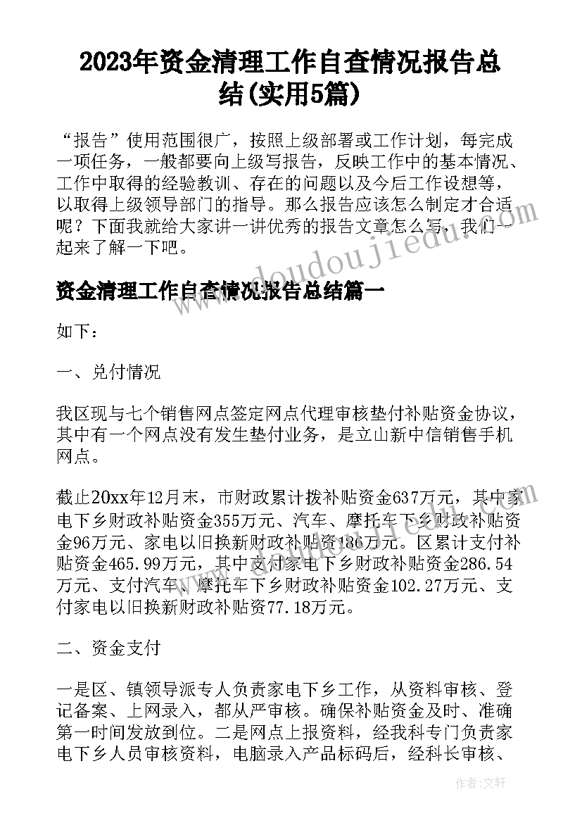 2023年资金清理工作自查情况报告总结(实用5篇)